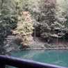 diandilek