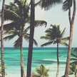 Victoria Roman