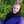 samaneh_7868