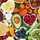 Foodmadeangela Foodmadeangela