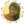 Toya Hill