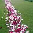 mrsjlr2013