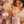 Nawal