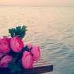 loloo