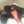 Damaris Agramonte Graybush