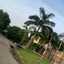 Meerah