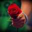 Om Almajd