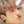 Chelsea Chin 1419032