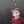 Arezoo_amini