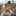 ameliia_riisky ameliia_riisky