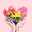 rawan