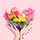 rawan