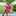 1993 andreapapp 1993 andreapapp