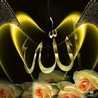 علا سلام