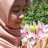 dewanti