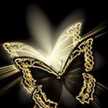 Asmaa Al Shamsi
