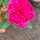 mommy_mufazzal mommy_mufazzal