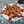 titto 