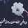 Anwar Ibraheem Anwar Ibraheem