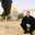 Ihab Wazwaz