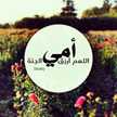 Loody 1212