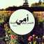 Loody 1212