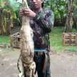 Eko Setyawan