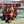 Sonia Goycoechea Sonia Goycoechea