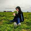 Dian Wulandari