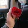  Emadiفلورا