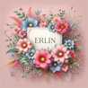  Erlin 