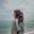 Alsa-