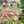 Sandrayjuan Aguilar Gimenez