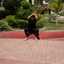 Wendel Fuentes Equia