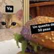 Sere Luna