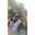 Dwi Ds