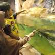 Dian Ummu Hasbi