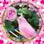 Rozan Obaid