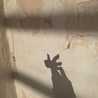 Raghad . Raghad .