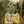 noor_oman96