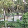 L P DEVI YERRAMSETTI