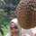 Aprilina Wulaningrum