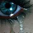 Andrea M