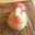 Geril