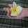 priya purwar priya purwar