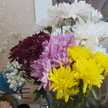 الحمد لله