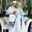 Fitri Rianti Fitri Rianti