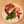 i_cook_everyday