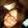 Laura Garrido Garcia