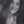 Antonelia